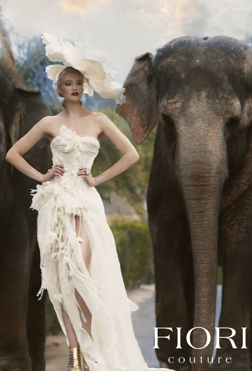 Woman in black and white chanel fashion plays with an elephant