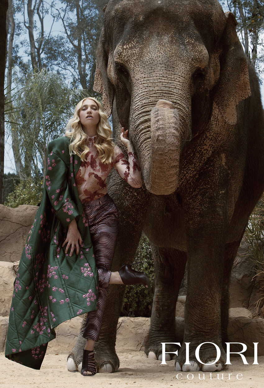 Haute couture fashion photoshoot with live elephants
