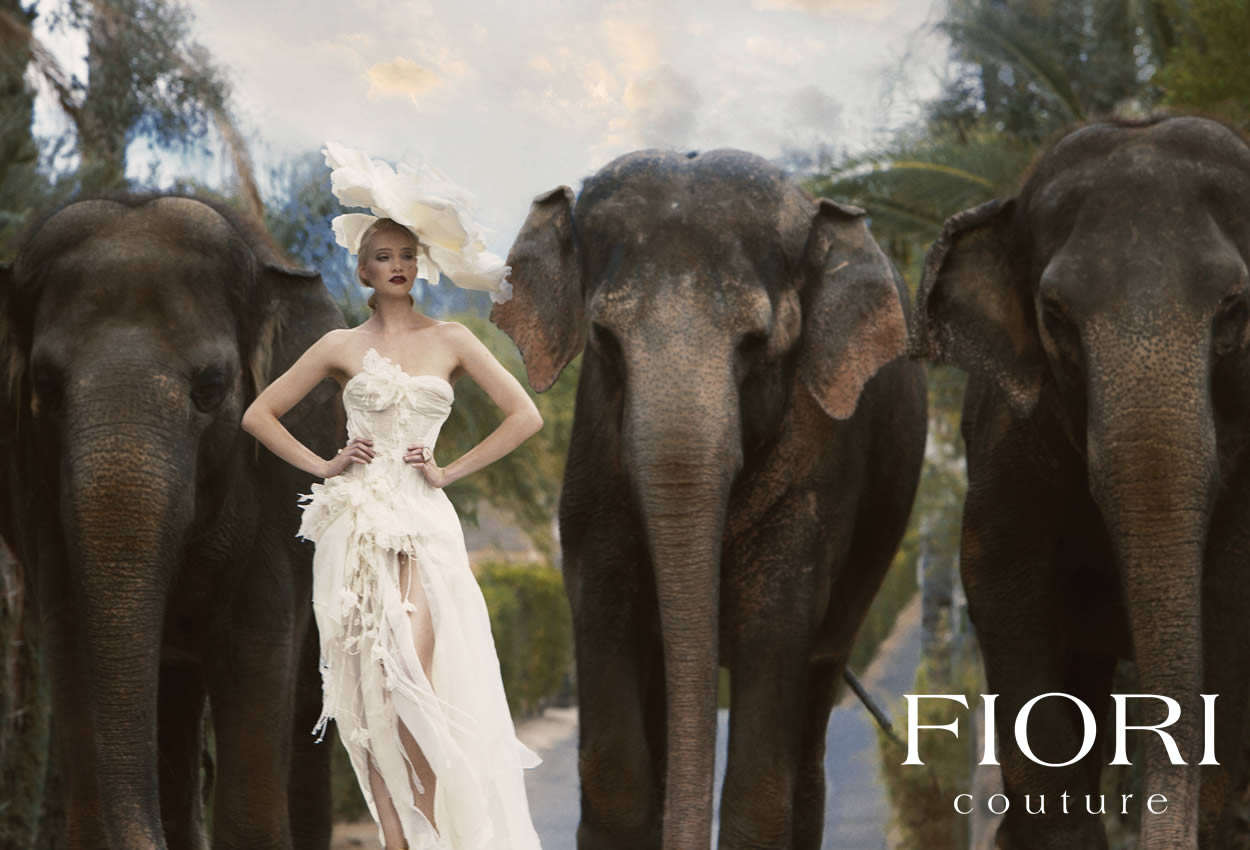 Woman wearing FIORI couture hat and fashion gown poses with live elephants