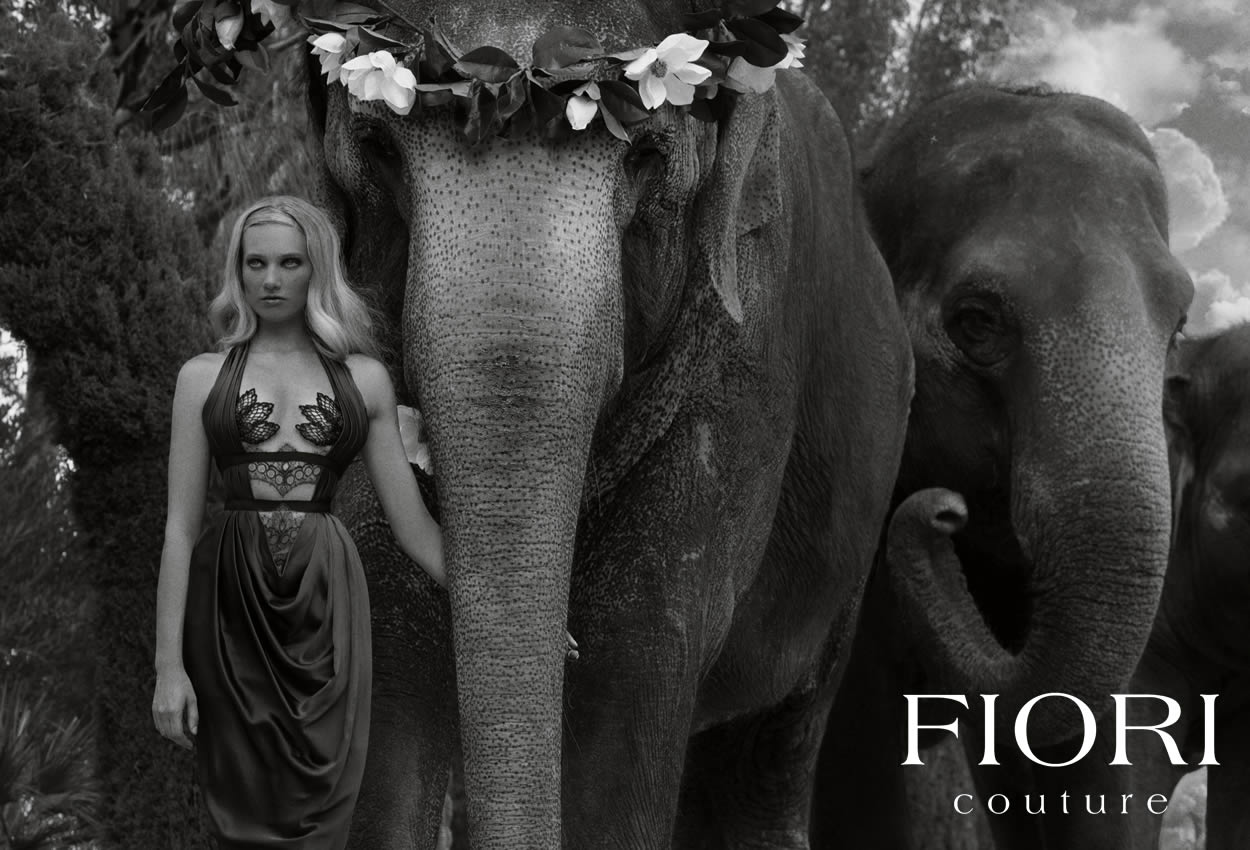Woman in Gucci fashion leading a pack of elephants